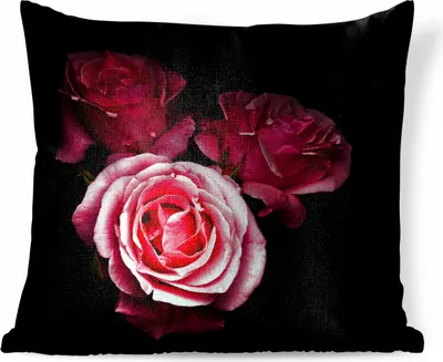 Produktbild von MuchoWow® Zierkissen Sofakissen Wohnzimmer Dekokissen 40x40 cm Ein Foto von rosa Rosen mit schwarzem Hintergrund - Foto Kissen - Schlafzimmer Dekoration