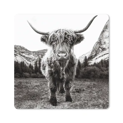 Produktbild von MuchoWow® Mauspad Mousepad Berg - Schwarz - Weiß - Schottischer Highlander 20x20 cm - Mousepads - Maus Mat - Pad - Mausunterlage - Desk Mat - Bureauartikeln