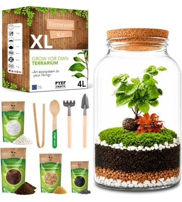 Productafbeelding van Terrariumset 4 l, glas, doe-het-zelf ecosysteem, voor binnen