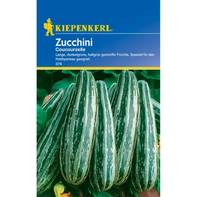 Produktbild von Kiepenkerl Zucchinisamen Coucourzelle