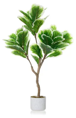 Produktbild von Künstliche Geigenfeige (Ficus lyrata) - Baum - 100 cm Höhe - Mit Topf - Standpflanze - Für Innenbereich - PE-Kunststoff