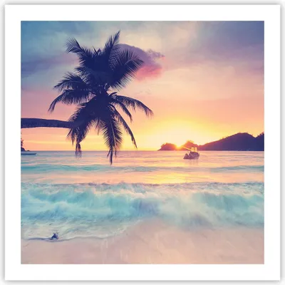Produktbild von Poster - Poster ohne Rahmen - Meer Strand Palme - 60x60 cm - Wand Bild - Wanddeko - Wandbilder - Kunstposter - Wandposter - Bilder - Kunstdruck - Wanddekoration - Wandbild - P2XAC60x60-3992