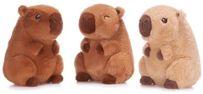 Image de Capybara en peluche, 22 cm, 3 couleurs, à partir de 0 mois
