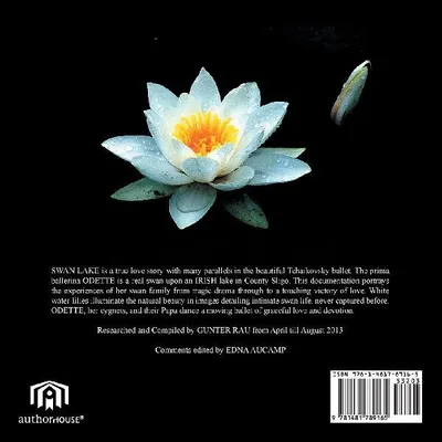 Produktbild von Swan Lake