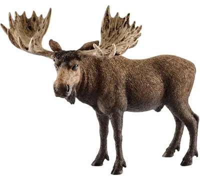 Produktbild von schleich WILD LIFE Elch Bulle, 3 Jahr(e), Forest, Wild animals / adventure toys, Mehrfarbig, Kunststoff, 1 Stück(e)
