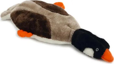 Produktbild von Beeztees Goosy - Hundespielzeug - Plüsch - bunt - 40 cm