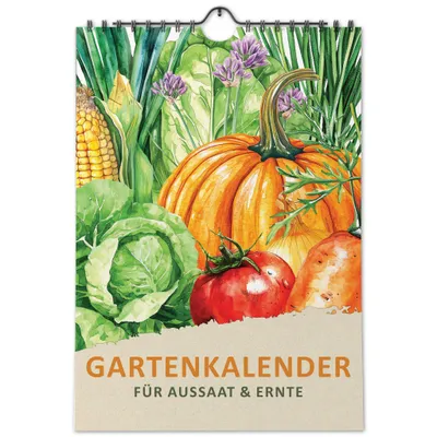 Gartenkalender im A4-Format mit liebevoll illustrierten Gemüsezeichnungen.