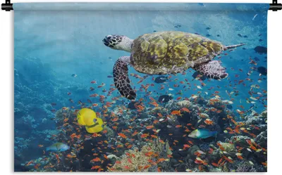Produktbild von MuchoWow® Wandteppich Wandbehang Schildkröte am Korallenriff 60x40 cm Tapisserie Dekoration Wandtuch - Wanddekorationen