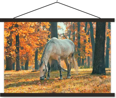 Produktbild von MuchoWow® Textilposter Pferd - Herbst - Wald 90x60 cm mit schwarzem Rahmen - Aufhängungssatz