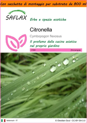 Immagine prodotto di SAFLAX Garden in the bag - Citronella - 50 semi - Cymbopogon