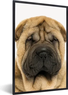 Produktbild von MuchoWow® Gerahmtes Poster Hund - Jungen - Sharpei - Haustiere - Mädchen - Kinder 60x90 cm - Poster mit Schwarzem Bilderrahmen Wandposter Rahmen Foto Bilder - Kunst