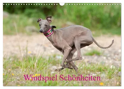 Windspiel-Kalender 2027 A3 quer, 12 Monatsblätter, Fotokalender