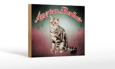 Produktbild von Holzschild Katze 18x12cm American Shorthair Wanddeko
