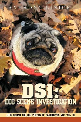 Produktbild von Dsi