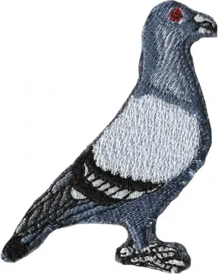 Produktbild von AUFNÄHER - Taube Grau-Schwarz - Gr. ca. 8 x 5cm - 00530
