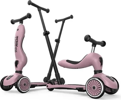 Immagine prodotto di Scoot Ride Scoot and Ride Highwaykick 1Push Go Wildberry