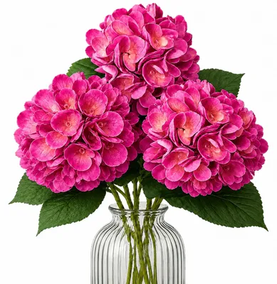 Produktbild von G.blümt Künstliche Hortensien 64 cm lang, Kunstblumen Real Touch wie echt, Pink 3 Stück