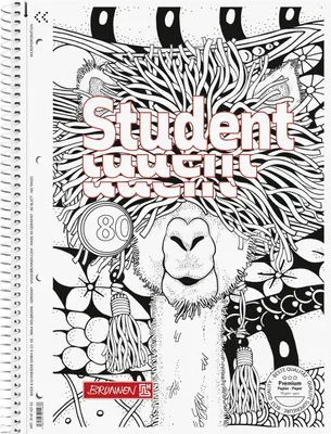 Image de 5X BRUNNEN 106742702 Collegebl A4 Lin27 ZENart Lama