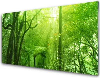 Produktbild von Acrylglasbilder 100x50 Wandbild Druck Bäume Natur
