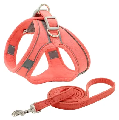 Produktbild von Hundegeschirr und Leine Set für kleine und mittelgroße Hunde und Katzen