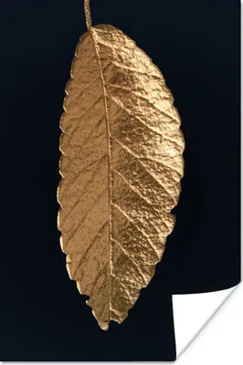 Produktbild von MuchoWow® Poster Blätter - Schwarz - Gold - Luxus - Natur 40x60 cm - Plakate für die Wand - Poster Babyzimmer