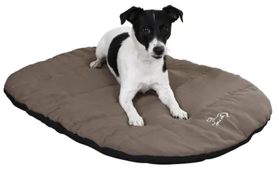 Obrázek produktu pro Kerbl Liegekissen Traveller (Farbe taupe, L x B x H 85 x 65 x 3 cm) 81266