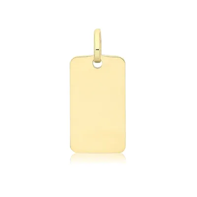 Image de Pendentif Femme Plaque Militaire / Dog Tag Or 375/1000 - 19mm*8mm; TRS34579