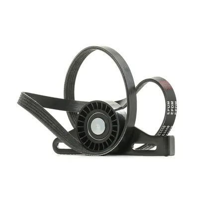 Produktbild von RIDEX 542R0138 Keilrippenriemensatz für RENAULT CLIO II (BB0/1/2, CB0/1/2)