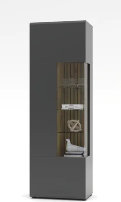 Produktbild von Vitrine HARPER WILLIAMS BHT 65x201x40 cm grau Glasschrank