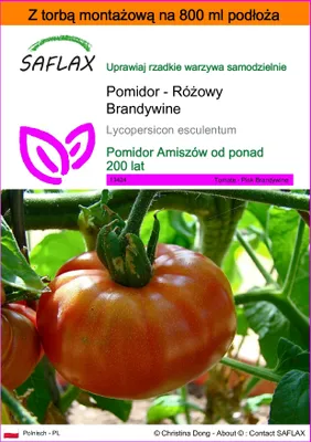 Zdjęcie produktu dla SAFLAX - Garden in the bag - Pomidor - Różowy Brandywine - 10 Nasiona - Z podłożem uprawowym w praktycznej, samorozkładającej się torbie - Lycopersicon esculentum