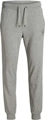 Obrázek produktu pro Pánské tepláky JJIGORDON JJSHARK 12172084 Light Grey Melange, 44