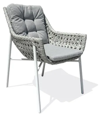 Image de Fauteuil de jardin
