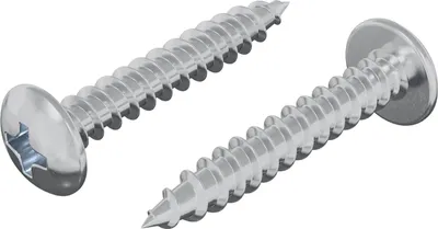 Obrázek produktu pro Samovrtný hřebík 2 pcs Zinkovaný 4 x 25 mm Ocel