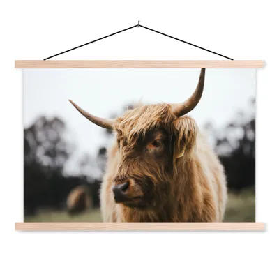 Produktbild von MuchoWow® Textilposter Schottischer Highlander - Tiere - Hörner 60x40 cm mit holzfarbenen Rahmen - Bilder