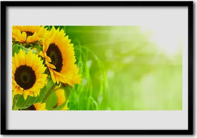 Produktbild von Bild 70x50 MDF-Rahmen Wandkunst Pflanze Sonnenblumen