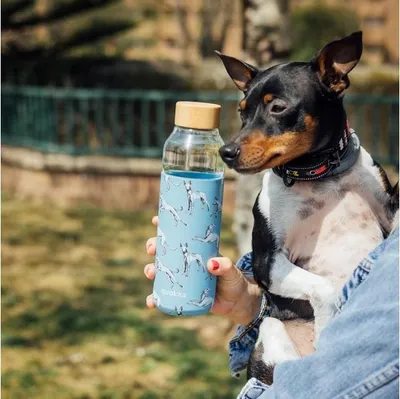 Produktbild von Quokka Flow, Glasflasche mit Silikonoberfläche Greyhounds, 660ml, 40011