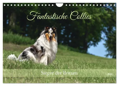 Immagine prodotto di Fantastici collie - I campioni dei cuori (calendario da parete 2027, formato A4 orizzontale), calendario mensile CALVENDO