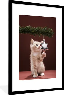 Produktbild von MuchoWow® MuchoWow® Gerahmtes Poster Weihnachten - Weihnachtsdekoration - Katze 60x90 cm - Poster mit zchwarzem Bilderrahmen - Dekoration - Wandposter Wohnzimmer - Hochwertig