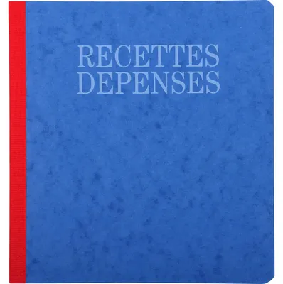 Image de Exacompta 5x Piqûre 21x19cm recettes-dépenses 80 pages Couleurs assorties 930E