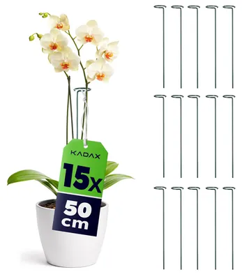 Immagine prodotto di KADAX Supporti per fiori da 50 cm, set da 15 pezzi, supporti per piante in acciaio, supporti per orchidee, bastoncini per stabilizzare steli e fiori, bastoncini per orchidee