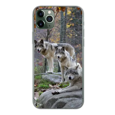 Produktbild von MuchoWow® Handyhülle Schutzhülle Hülle für iPhone 11 Pro Max Wölfe - Fels - Wald Silikon Softcase Handy Hülle - Schutz