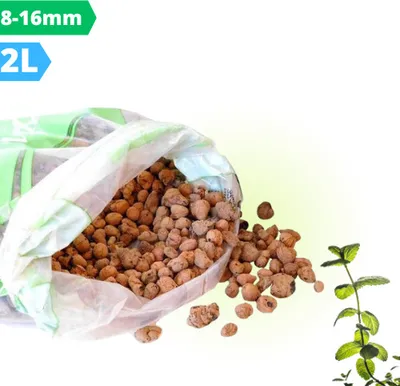 A bag of expanded clay pebbles spilling onto a white and light green background, with a mint plant on the right.