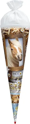 Zdjęcie produktu dla Roth 677229 Konik szkolny - okrągły, 70 cm