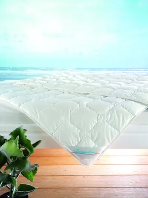 Produktbild von f.a.n. Leicht-Steppbett Summerline Wash Baumwolle Größe 135x200
