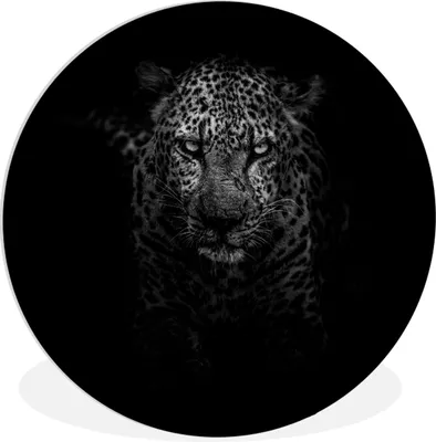 Produktbild von MuchoWow® Rundes Wandbild - Runde Bilder Leopard - Schwarz - Weiß Ø 30 cm Kreis Wanddekoration Kunststoff - Wandkreis - Wandschmuck - Schlafzimmer - Bilder - Der Kreis - Kunst für die Wohnung - Plastik - Kunstdruck - Wandbild
