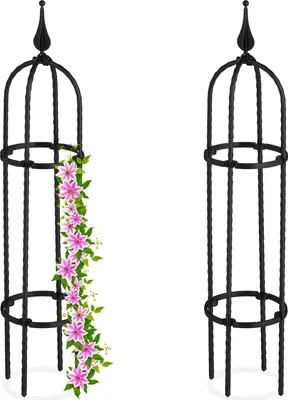 Produktbild von Klimmstütze Set 2teilig 70cm hoch schwarz für Rosen