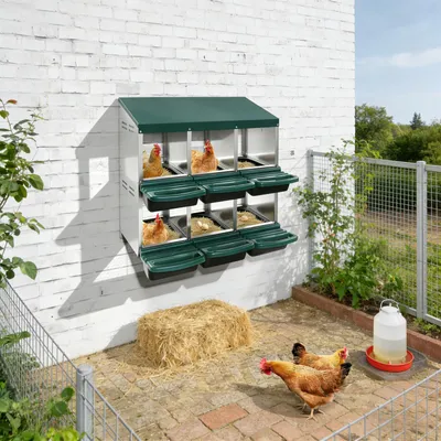 Immagine prodotto di Nido per galline, con 6 compartimenti, design resistente, colore verde