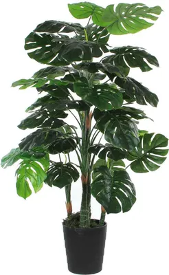 Image de Mica Decorations Plante artificielle Monstera - 80x80x140 cm - Polyester - Vert