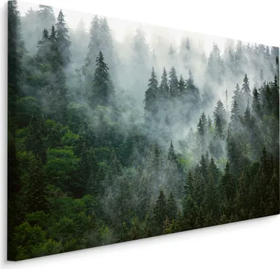Produktbild von Muralo Leinwanbild Canvas 120x80 cm WALD IM NEBEL Bäume Pflanzen Natur Landschaft 3D Wandbild für Schlafzimmer Wohnzimmer