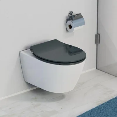 Immagine prodotto di Copertura per WC Famanu con sistema di chiusura ammortizzata - Duroplast, extrapiatta